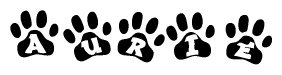 The image shows a series of animal paw prints arranged horizontally. Within each paw print, there's a letter; together they spell Aurie