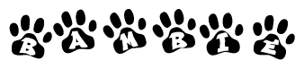 The image shows a series of animal paw prints arranged in a horizontal line. Each paw print contains a letter, and together they spell out the word Bambie.