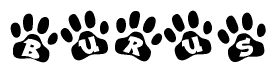 The image shows a series of animal paw prints arranged in a horizontal line. Each paw print contains a letter, and together they spell out the word Burus.