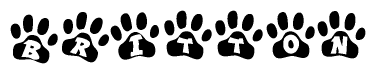The image shows a row of animal paw prints, each containing a letter. The letters spell out the word Britton within the paw prints.