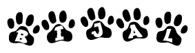The image shows a series of animal paw prints arranged in a horizontal line. Each paw print contains a letter, and together they spell out the word Bijal.