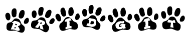 The image shows a series of animal paw prints arranged horizontally. Within each paw print, there's a letter; together they spell Bridgit
