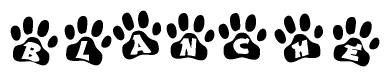 The image shows a series of animal paw prints arranged horizontally. Within each paw print, there's a letter; together they spell Blanche