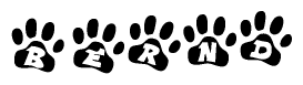 The image shows a series of animal paw prints arranged in a horizontal line. Each paw print contains a letter, and together they spell out the word Bernd.