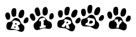 The image shows a row of animal paw prints, each containing a letter. The letters spell out the word Birdy within the paw prints.