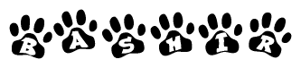 The image shows a series of animal paw prints arranged in a horizontal line. Each paw print contains a letter, and together they spell out the word Bashir.