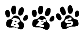 The image shows a row of animal paw prints, each containing a letter. The letters spell out the word Bes within the paw prints.
