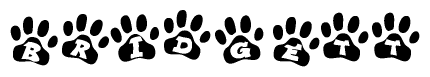 The image shows a row of animal paw prints, each containing a letter. The letters spell out the word Bridgett within the paw prints.