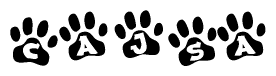 The image shows a series of animal paw prints arranged in a horizontal line. Each paw print contains a letter, and together they spell out the word Cajsa.