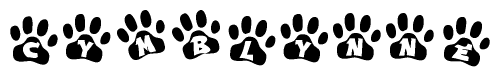 The image shows a row of animal paw prints, each containing a letter. The letters spell out the word Cymblynne within the paw prints.