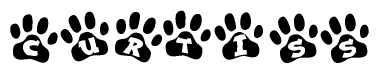 The image shows a row of animal paw prints, each containing a letter. The letters spell out the word Curtiss within the paw prints.