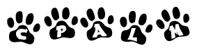 The image shows a series of animal paw prints arranged in a horizontal line. Each paw print contains a letter, and together they spell out the word Cpalm.