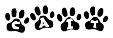 The image shows a series of animal paw prints arranged in a horizontal line. Each paw print contains a letter, and together they spell out the word Cait.