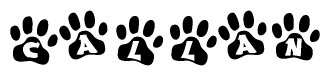 The image shows a series of animal paw prints arranged in a horizontal line. Each paw print contains a letter, and together they spell out the word Callan.