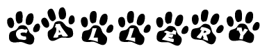 The image shows a row of animal paw prints, each containing a letter. The letters spell out the word Callery within the paw prints.
