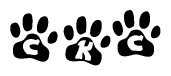 The image shows a series of animal paw prints arranged horizontally. Within each paw print, there's a letter; together they spell Ckc