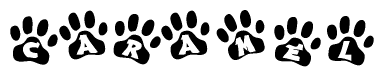 The image shows a series of animal paw prints arranged in a horizontal line. Each paw print contains a letter, and together they spell out the word Caramel.