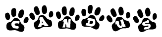 The image shows a row of animal paw prints, each containing a letter. The letters spell out the word Candus within the paw prints.
