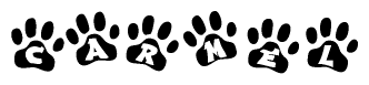 The image shows a series of animal paw prints arranged in a horizontal line. Each paw print contains a letter, and together they spell out the word Carmel.