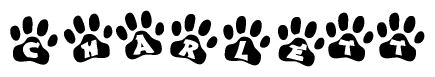The image shows a series of animal paw prints arranged in a horizontal line. Each paw print contains a letter, and together they spell out the word Charlett.