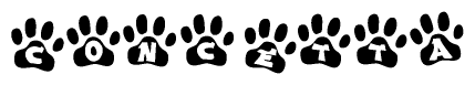 The image shows a series of animal paw prints arranged in a horizontal line. Each paw print contains a letter, and together they spell out the word Concetta.