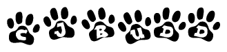 The image shows a series of animal paw prints arranged horizontally. Within each paw print, there's a letter; together they spell Cjbudd