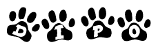 The image shows a series of animal paw prints arranged in a horizontal line. Each paw print contains a letter, and together they spell out the word Dipo.