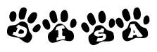 The image shows a series of animal paw prints arranged in a horizontal line. Each paw print contains a letter, and together they spell out the word Disa.