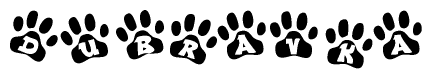 The image shows a series of animal paw prints arranged in a horizontal line. Each paw print contains a letter, and together they spell out the word Dubravka.