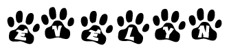 The image shows a series of animal paw prints arranged in a horizontal line. Each paw print contains a letter, and together they spell out the word Evelyn.
