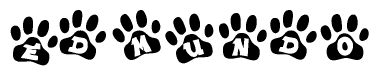 The image shows a series of animal paw prints arranged in a horizontal line. Each paw print contains a letter, and together they spell out the word Edmundo.