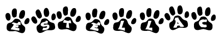 The image shows a series of animal paw prints arranged horizontally. Within each paw print, there's a letter; together they spell Estellac
