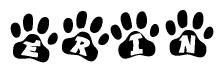 The image shows a series of animal paw prints arranged in a horizontal line. Each paw print contains a letter, and together they spell out the word Erin.