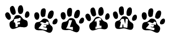 The image shows a series of animal paw prints arranged in a horizontal line. Each paw print contains a letter, and together they spell out the word Feline.