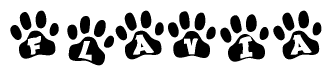 The image shows a series of animal paw prints arranged in a horizontal line. Each paw print contains a letter, and together they spell out the word Flavia.