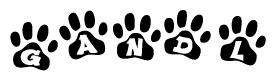 The image shows a series of animal paw prints arranged in a horizontal line. Each paw print contains a letter, and together they spell out the word Gandl.