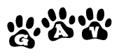 The image shows a series of animal paw prints arranged in a horizontal line. Each paw print contains a letter, and together they spell out the word Gav.