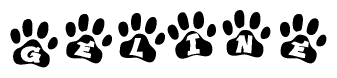The image shows a row of animal paw prints, each containing a letter. The letters spell out the word Geline within the paw prints.