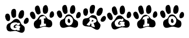 The image shows a series of animal paw prints arranged in a horizontal line. Each paw print contains a letter, and together they spell out the word Giorgio.