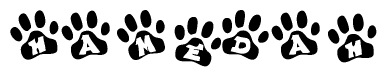 The image shows a series of animal paw prints arranged in a horizontal line. Each paw print contains a letter, and together they spell out the word Hamedah.