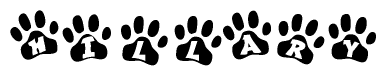 The image shows a series of animal paw prints arranged horizontally. Within each paw print, there's a letter; together they spell Hillary