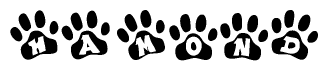 The image shows a series of animal paw prints arranged horizontally. Within each paw print, there's a letter; together they spell Hamond