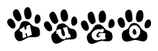 The image shows a series of animal paw prints arranged in a horizontal line. Each paw print contains a letter, and together they spell out the word Hugo.