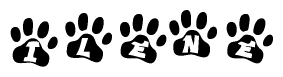The image shows a row of animal paw prints, each containing a letter. The letters spell out the word Ilene within the paw prints.