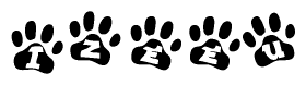 The image shows a series of animal paw prints arranged in a horizontal line. Each paw print contains a letter, and together they spell out the word Izeeu.