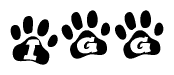 The image shows a series of animal paw prints arranged horizontally. Within each paw print, there's a letter; together they spell Igg
