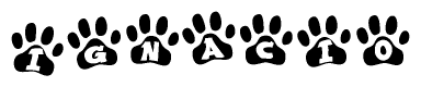 The image shows a series of animal paw prints arranged in a horizontal line. Each paw print contains a letter, and together they spell out the word Ignacio.