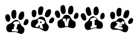 The image shows a series of animal paw prints arranged horizontally. Within each paw print, there's a letter; together they spell Irvie