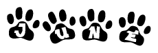 The image shows a row of animal paw prints, each containing a letter. The letters spell out the word June within the paw prints.