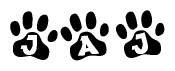 The image shows a series of animal paw prints arranged in a horizontal line. Each paw print contains a letter, and together they spell out the word Jaj.